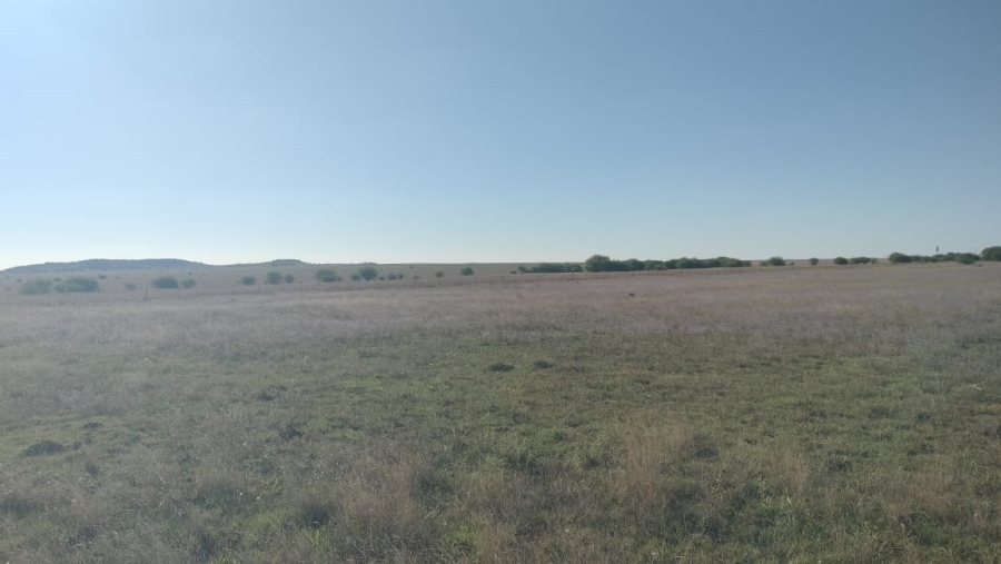 Commercial Property for Sale in Bloemfontein Rural Free State